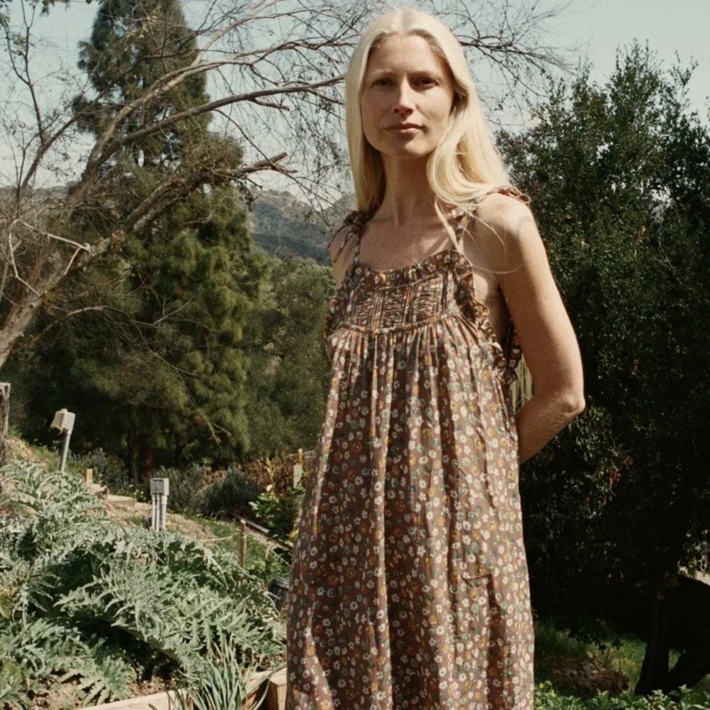 NWT Doen Plumosa dress in Bistre Tasha Garden size small
